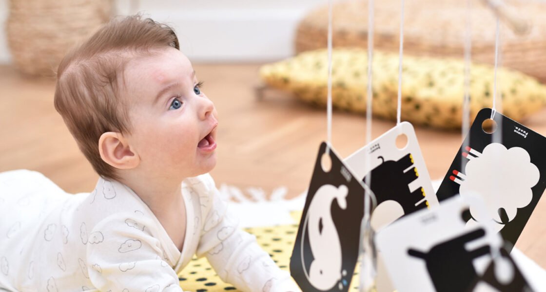High Contrast Flash Cards on a ring for newborns