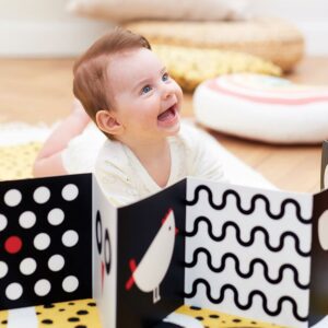 High Contrast Baby Pack contrast flash cards and books set